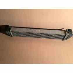 intercooler A1695000000 W245